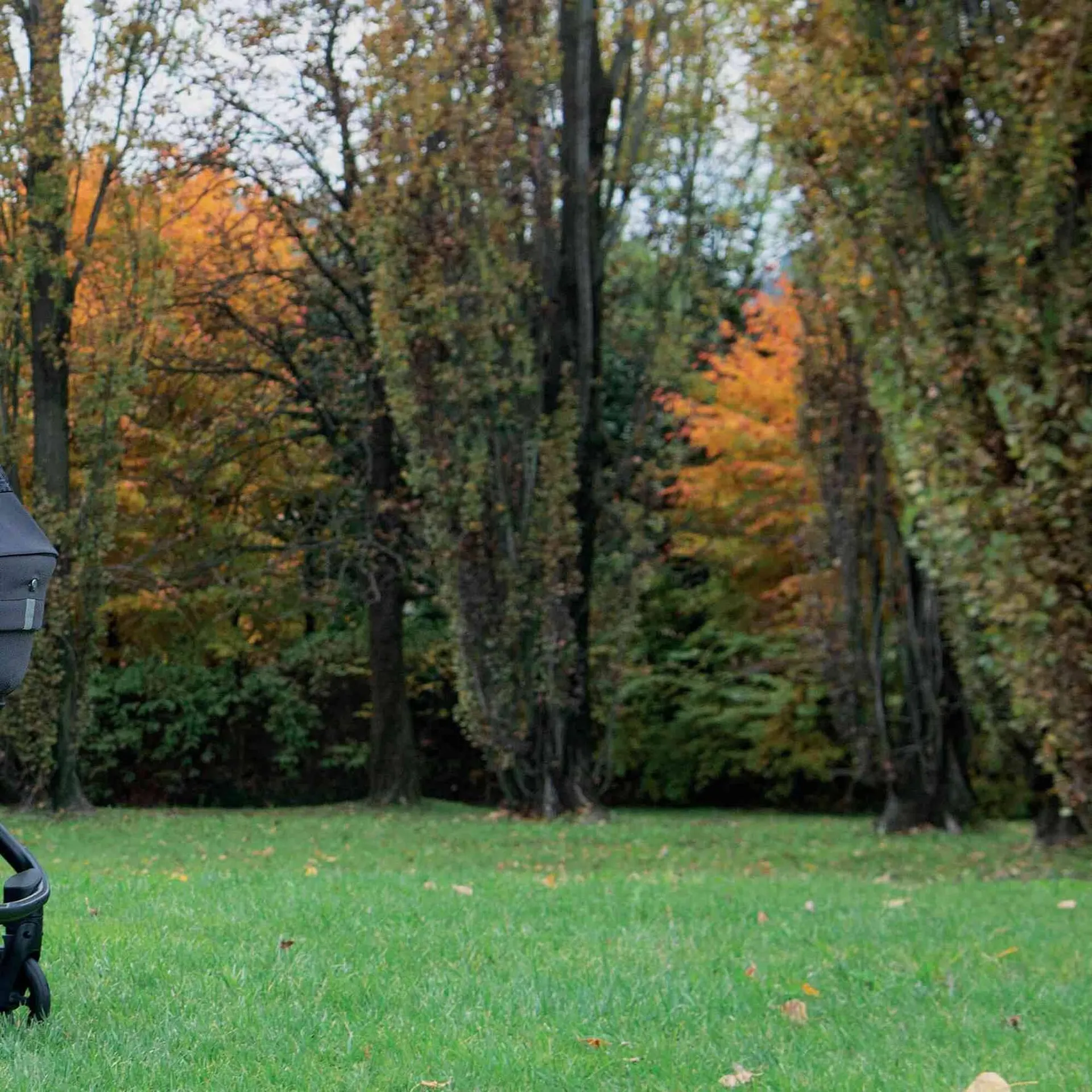 Volantino Foppapedretti da 5 ottobre a 31 agosto di 2023 - Pagina del volantino 31