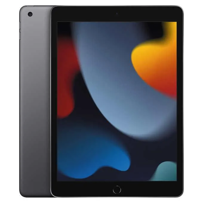 Apple iPad 9, 10.2 in. 256 GB, Wifi, A13 Bionic Chip with Neural Engine