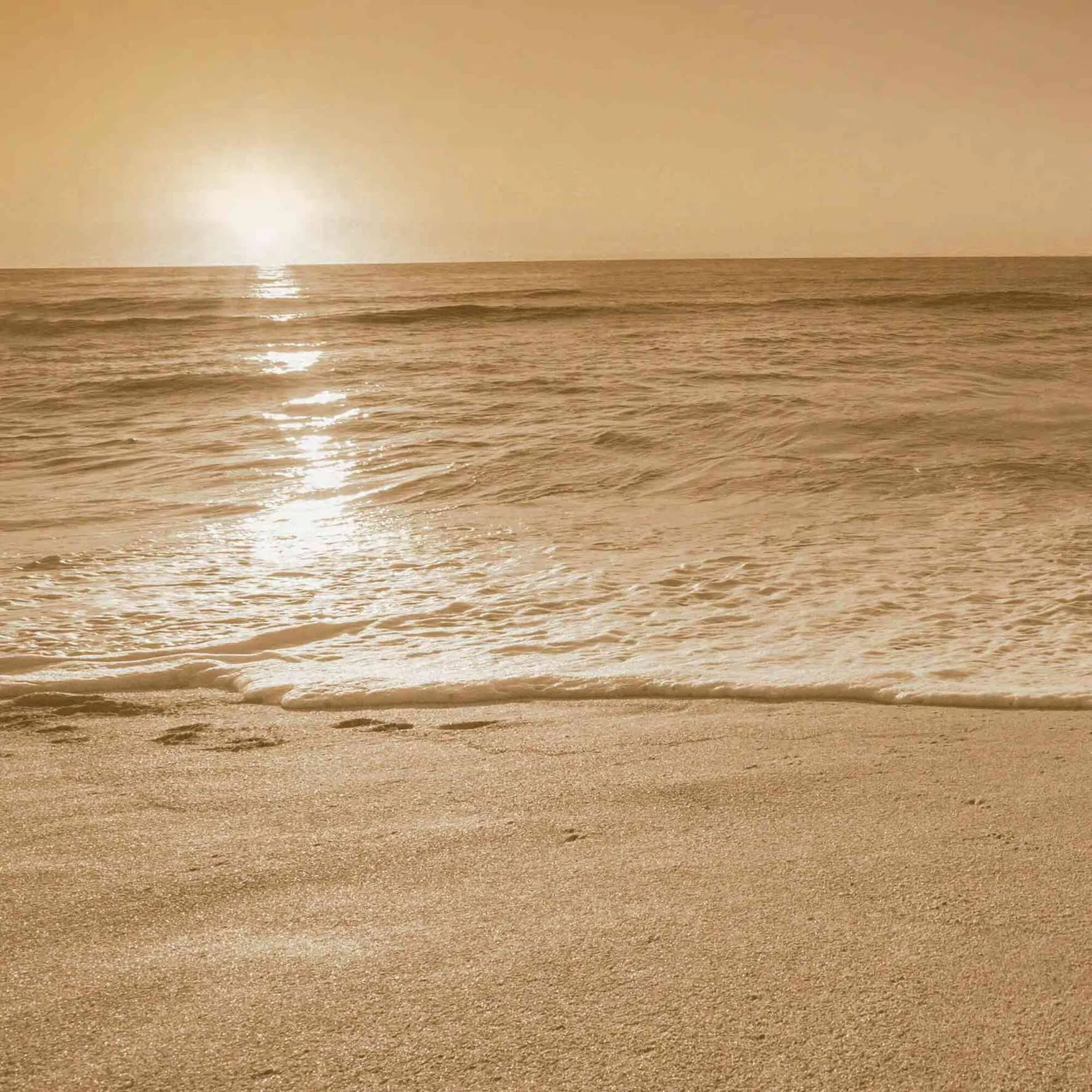 Volantino Foppapedretti da 5 ottobre a 31 agosto di 2023 - Pagina del volantino 2