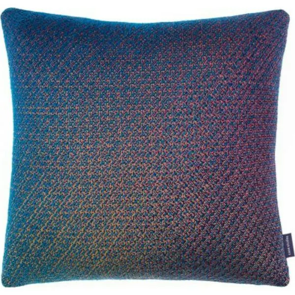 Case Studies Cushion Paris - PACUS