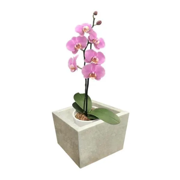 Macetero de Mármol Clásico Travertino