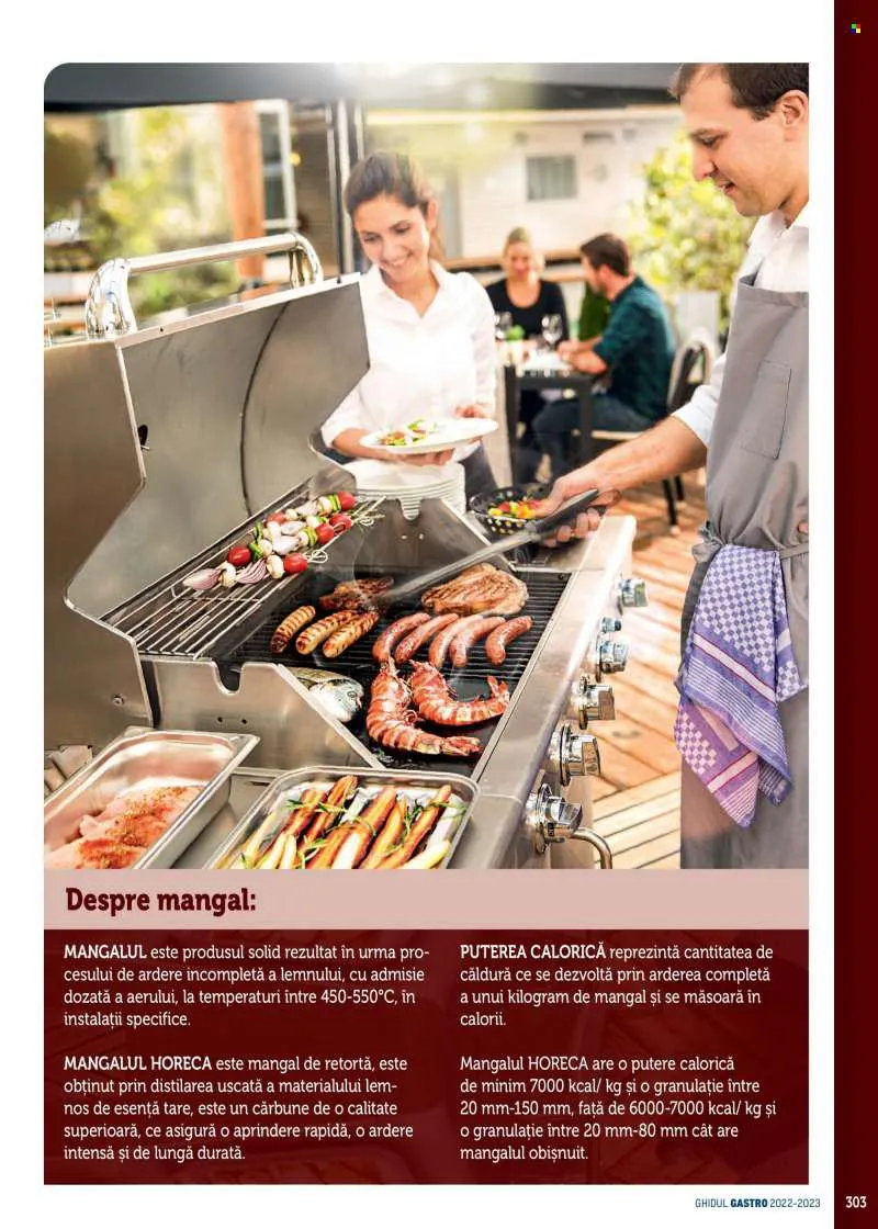 Catalog Cataloage Metro - 21.01.2022 - 31.12.2023. de la 21 ianuarie până la 31 decembrie 2023 - Revista Pagina 303