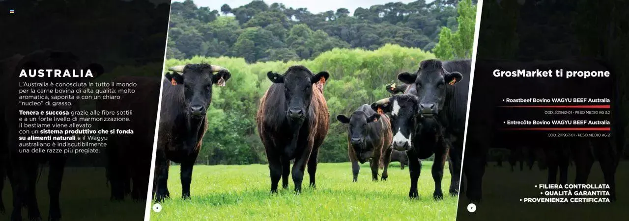 Sogegross - Catalogo Carni Pregiate da 1 gennaio a 31 dicembre di 2023 - Pagina del volantino 4