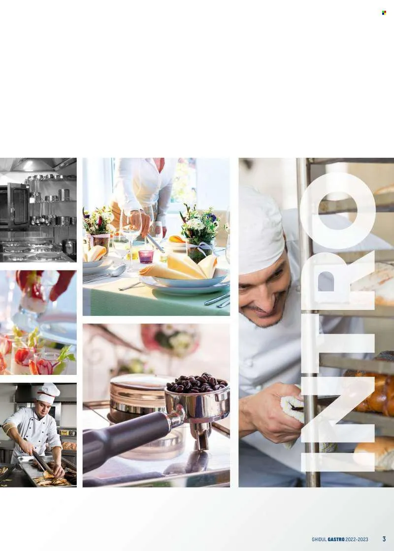 Catalog Cataloage Metro - 21.01.2022 - 31.12.2023. de la 21 ianuarie până la 31 decembrie 2023 - Revista Pagina 3