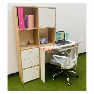 Escritorio Con Estante