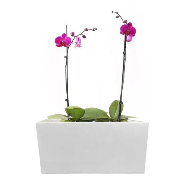 Macetero de Mármol Mini Doble Rodas