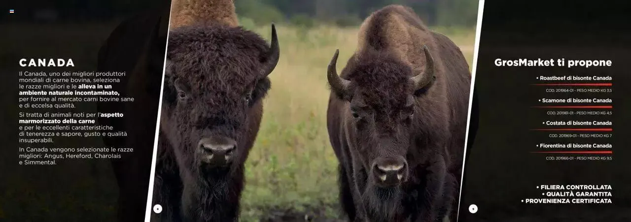 Sogegross - Catalogo Carni Pregiate da 1 gennaio a 31 dicembre di 2023 - Pagina del volantino 5