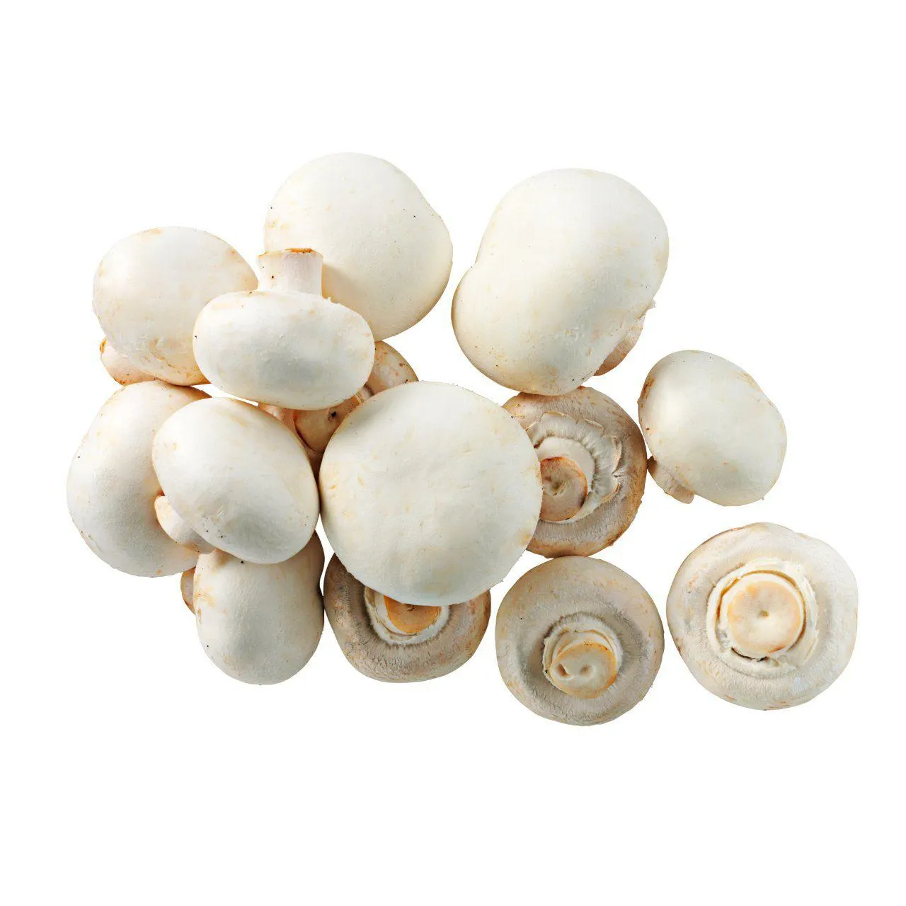 Middelgrote champignons