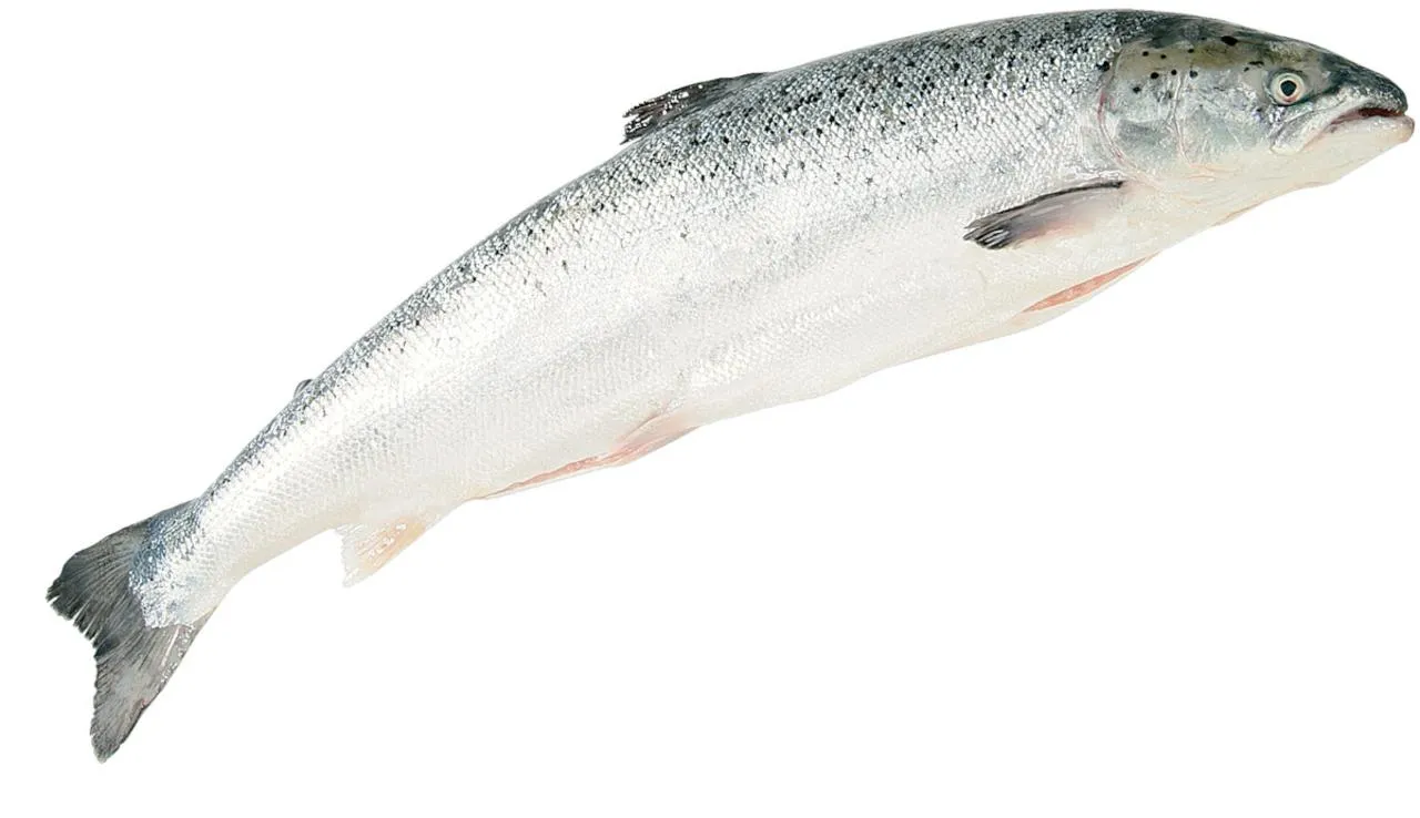 , aus Norwegen, ganz, ausgenommen, 3-4 kg