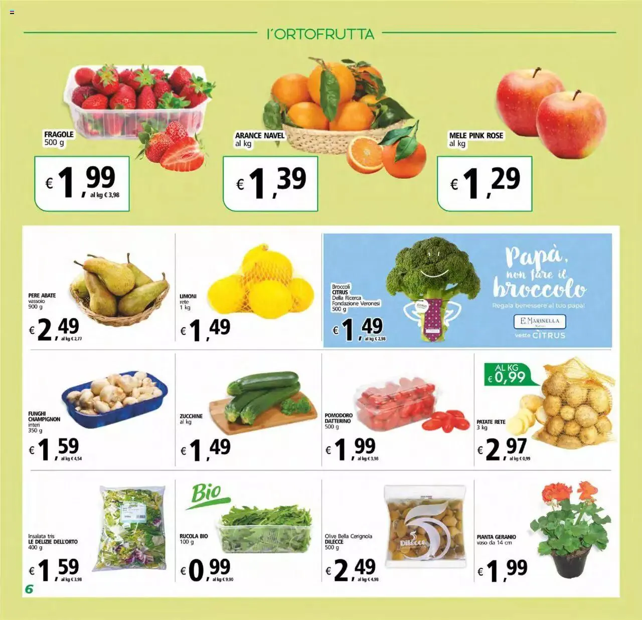 Volantino Alter Discount da 16 marzo a 31 dicembre di 2023 - Pagina del volantino 6