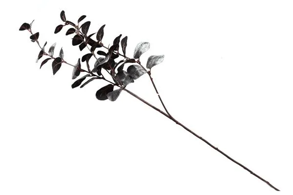 EUKALYPTUSOKSA 76CM MUSTAHOPEA