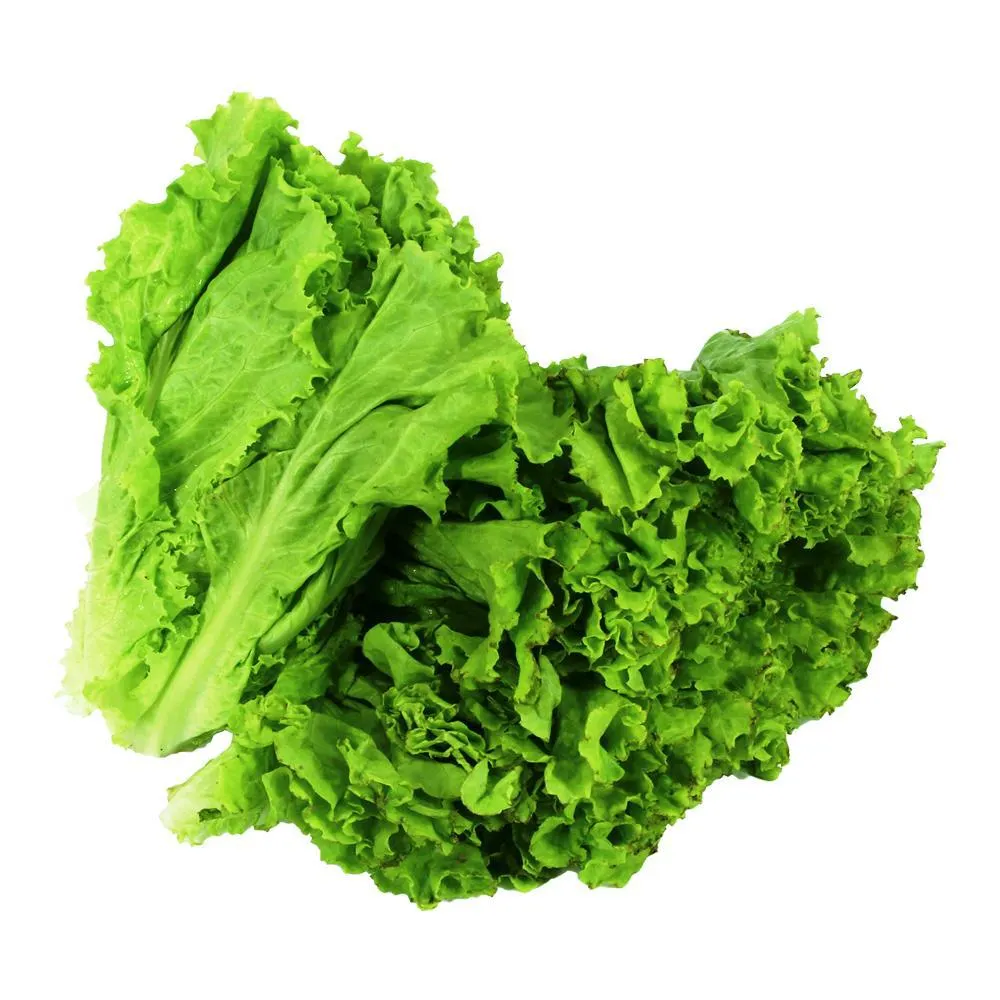 Lechuga Francesa X Kg