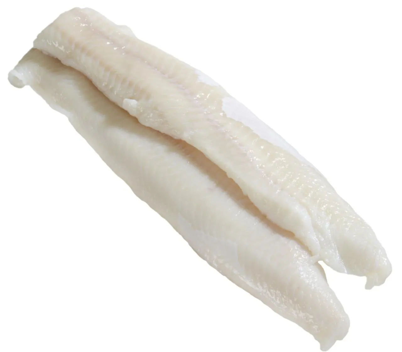 , aus dem Nordostatlantik