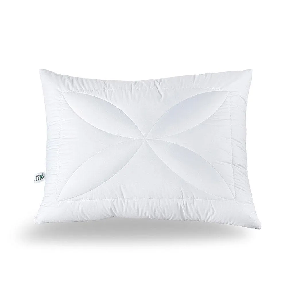 Reiter Polster Aloe Vera