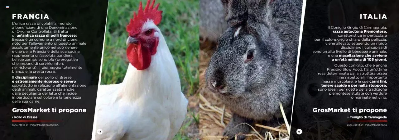 Sogegross - Catalogo Carni Pregiate da 1 gennaio a 31 dicembre di 2023 - Pagina del volantino 8