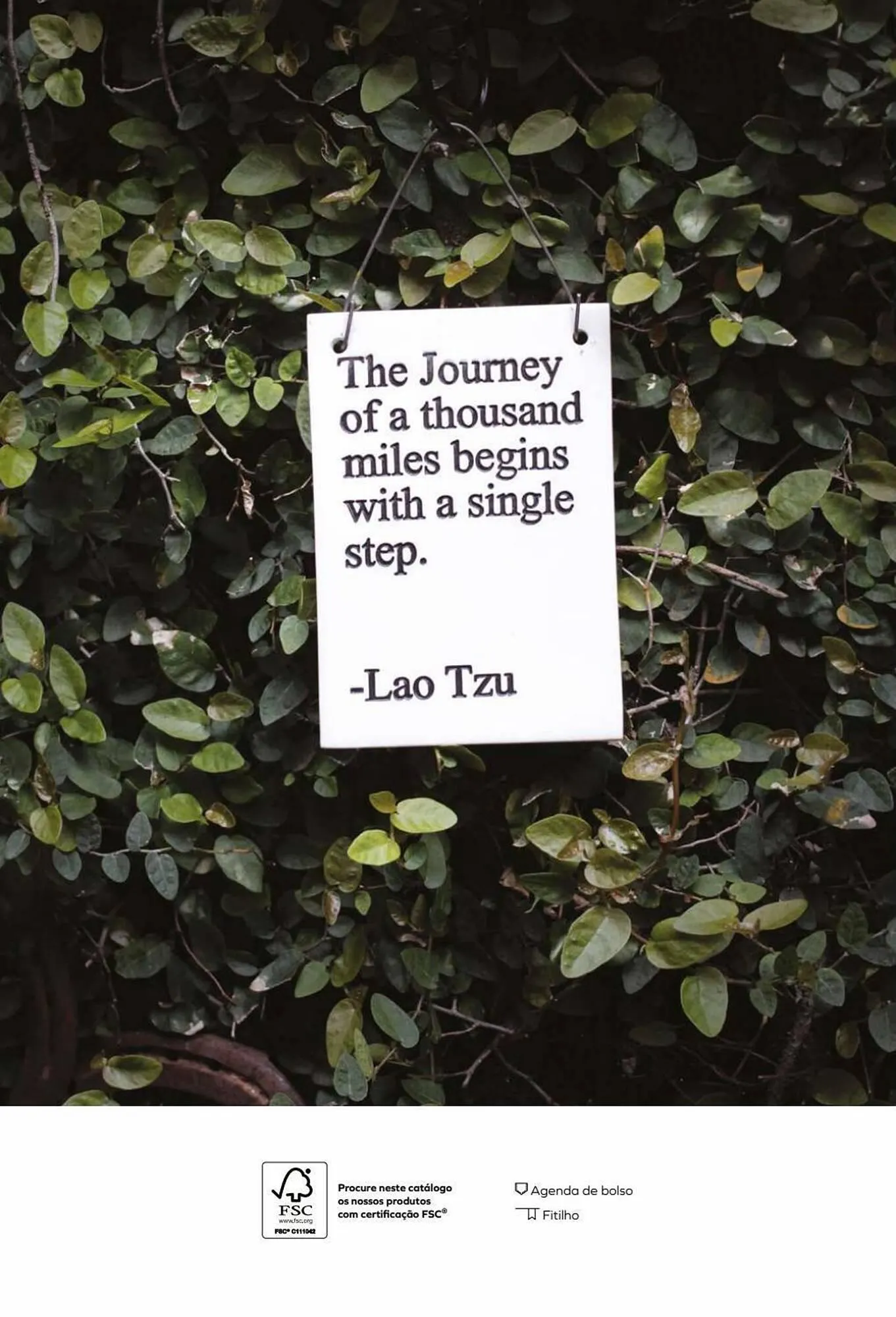 Folheto Folheto Firmo de 3 de abril até 31 de dezembro 2023 - Pagina 2