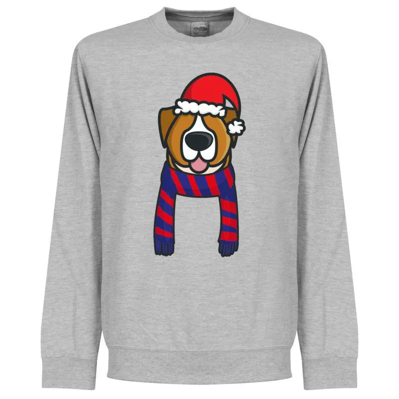 Christmas Dog Supporter KIDS Sweatshirt - Grey (Blue/Red Scarf)