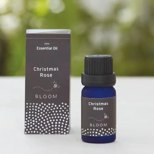 Christmas Rose Essential Oil