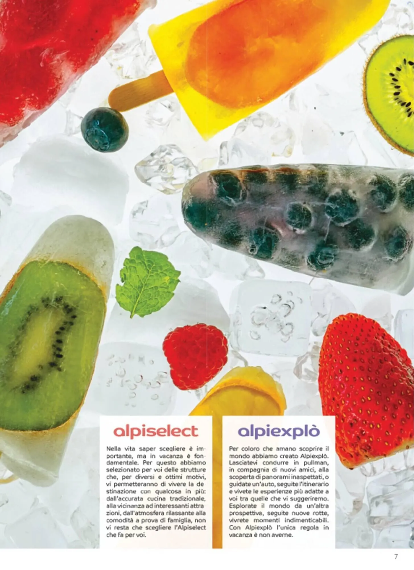 Volantino Leader Price da 1 dicembre a 31 dicembre di 2023 - Pagina del volantino 7