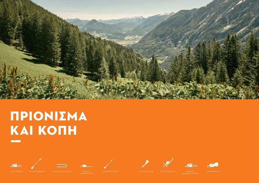 Φυλλάδιο προσφορών Κατάλογος 2024 από 17 Ιανουαρίου έως 31 Δεκεμβρίου 2024 - Σελίδα 33