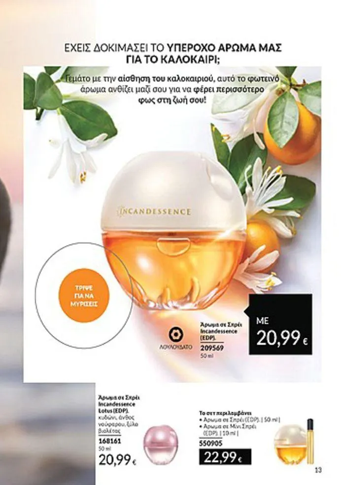 Φυλλάδιο προσφορών Κατάλογος Αυγούστου από 1 Αυγούστου έως 31 Αυγούστου 2024 - Σελίδα 13