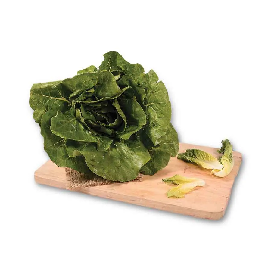 Μαρούλι Σαλάτα Ελληνική Α΄ Ποιότητα