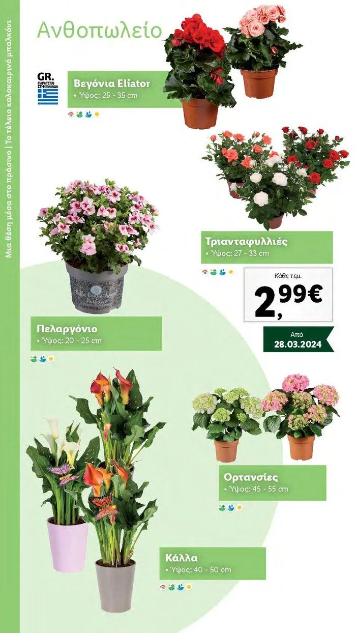 Φυλλάδιο προσφορών Το αγαπημένο σου μέρος στο πράσινο από 2 Απριλίου έως 28 Οκτωβρίου 2024 - Σελίδα 32