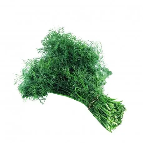 Άνηθος φρέσκος κατηγορία Α