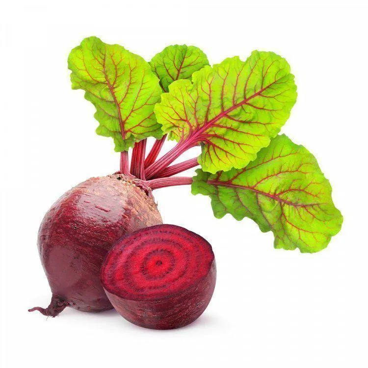 Παντζάρια Ελληνικά Τιμή Κιλού