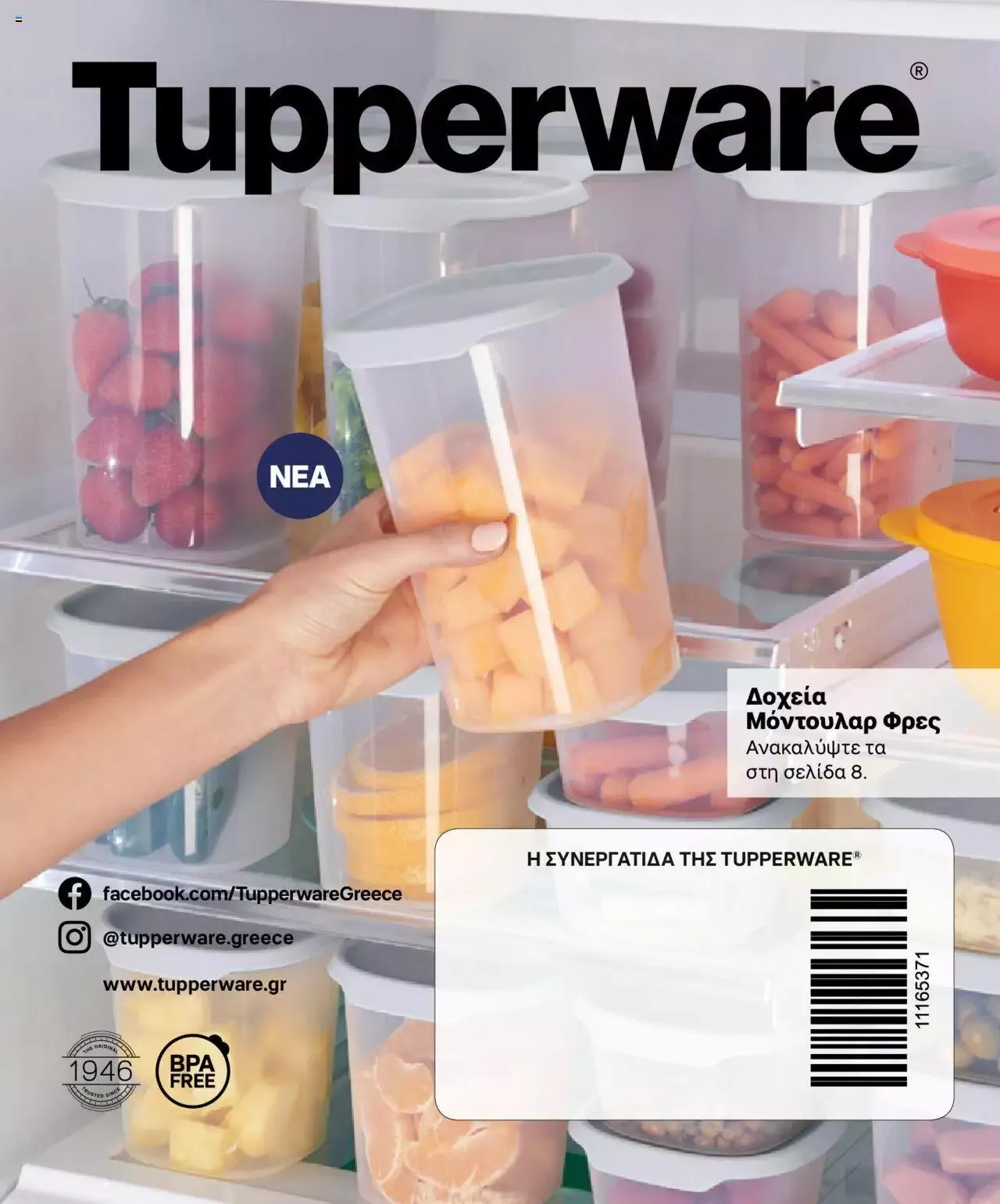 Φυλλάδιο προσφορών Tupperware - Κατάλογος Φθινόπωρο/Χειμώνας 2023/24 από 21 Σεπτεμβρίου έως 31 Δεκεμβρίου 2023 - Σελίδα 76