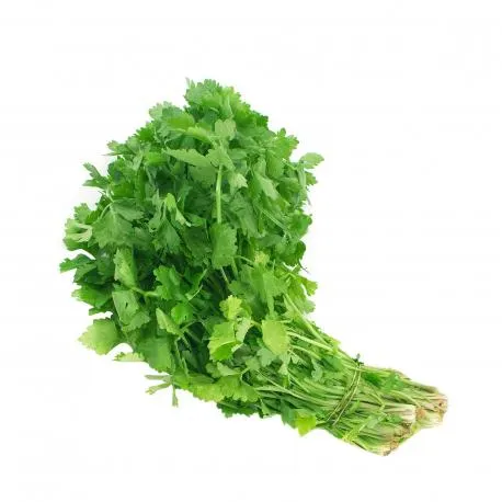 Σέλινο Ελλάδος