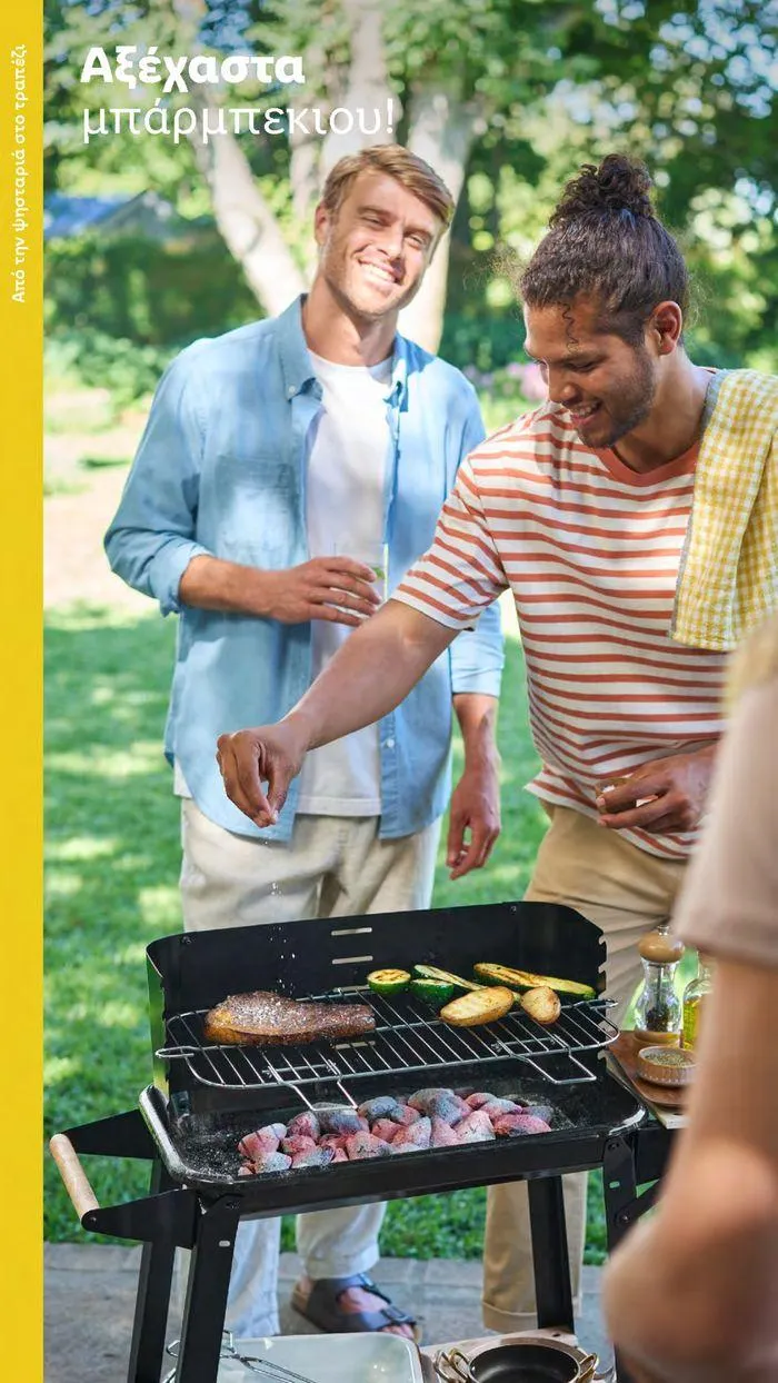 Φυλλάδιο προσφορών Το αγαπημένο σου μέρος στο πράσινο από 2 Απριλίου έως 28 Οκτωβρίου 2024 - Σελίδα 33