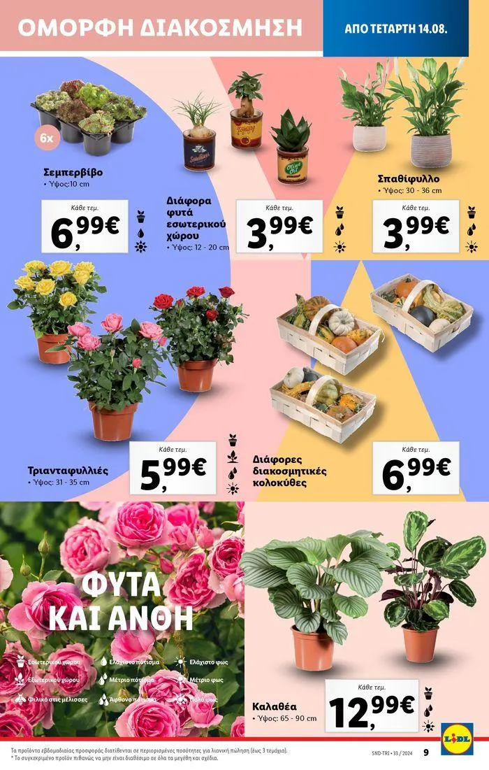 Φυλλάδιο προσφορών Φυλλάδιο Lidl - Food & Nonfood από 15 Αυγούστου έως 21 Αυγούστου 2024 - Σελίδα 39
