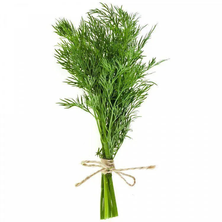 Άνηθος Ελληνικός Ποιότητα Α 80gr