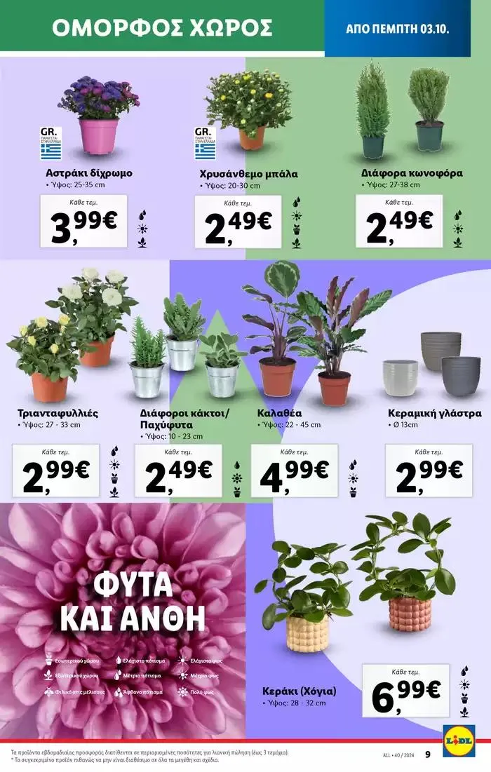 Φυλλάδιο προσφορών Φυλλάδιο Lidl - Food & Nonfood από 3 Οκτωβρίου έως 9 Οκτωβρίου 2024 - Σελίδα 39