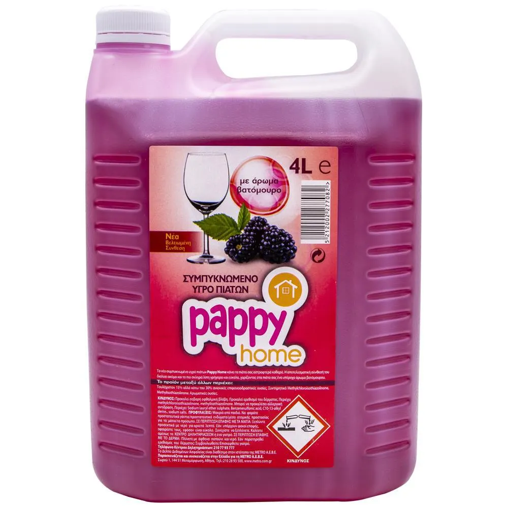 Pappy Home Yγρό Πιάτων Βατόμουρο 4lt