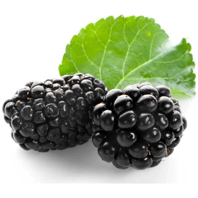 Βατόμουρα Συσκευασία 125gr