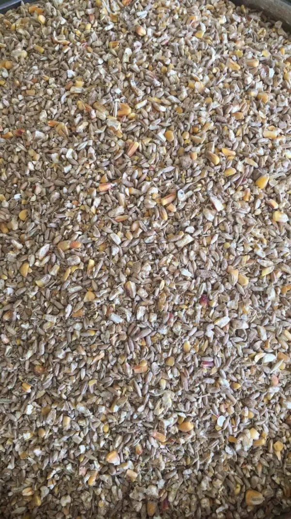 Τρίσπορο Σύνθετη Ζωοτροφή Πτηνών 25Kg