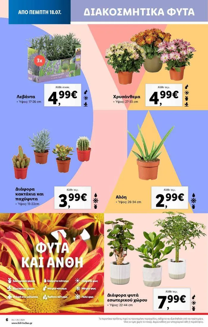 Φυλλάδιο προσφορών Φυλλάδιο Lidl - Food & Nonfood από 18 Ιουλίου έως 24 Ιουλίου 2024 - Σελίδα 38