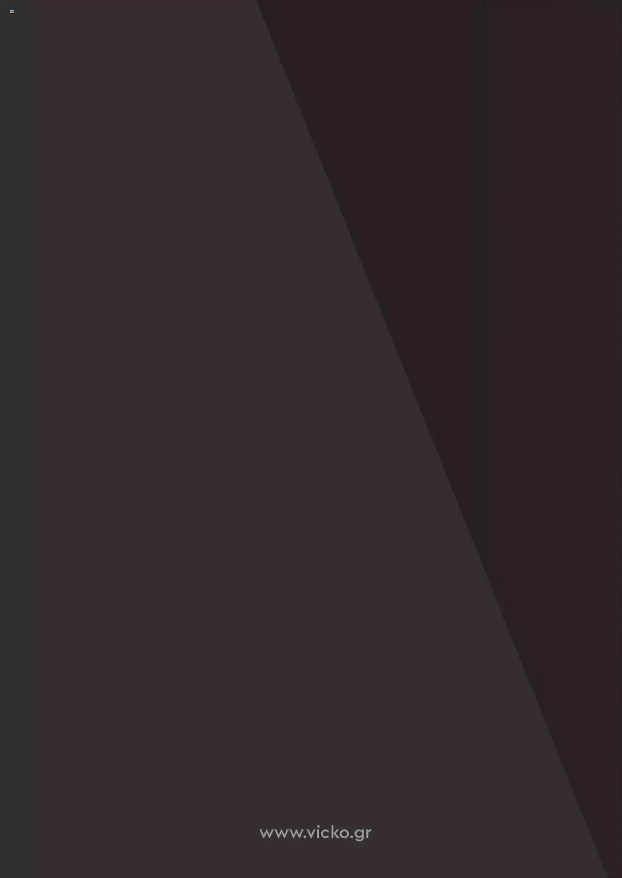 Φυλλάδιο προσφορών Vicko - Horeca 2023 από 2 Οκτωβρίου έως 31 Δεκεμβρίου 2023 - Σελίδα 24