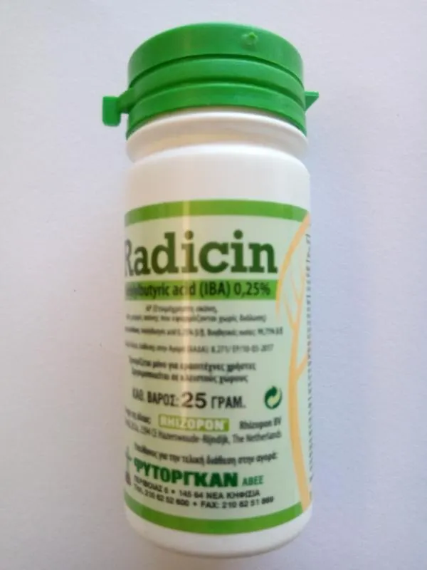 Radicin 0,25 (25gr)