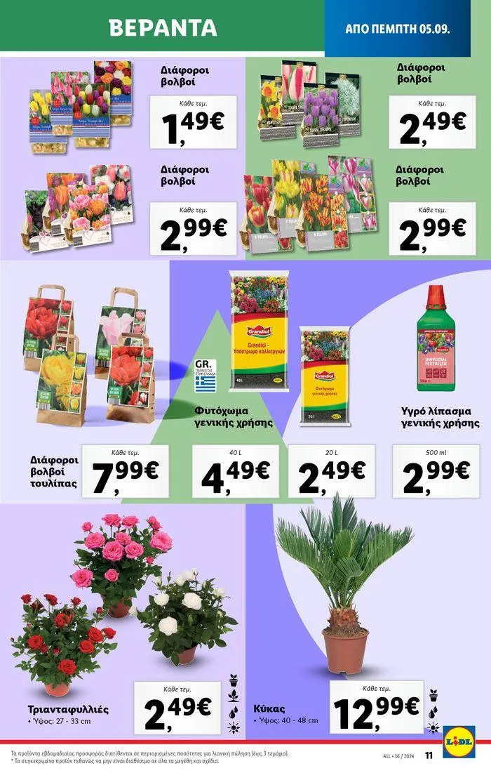 Φυλλάδιο προσφορών Φυλλάδιο Lidl - Food & Nonfood από 5 Σεπτεμβρίου έως 11 Σεπτεμβρίου 2024 - Σελίδα 46