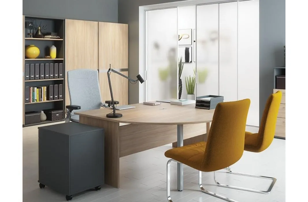 Σύνθεση γραφείου Igor