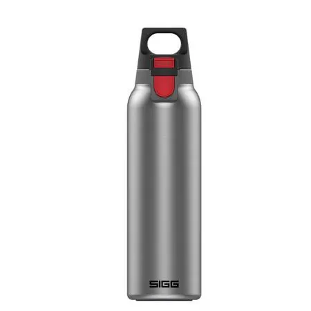 Sigg Παγούρι Ανοξείδωτο Με Διπλά Τοιχώματα 0.55L Brushed H&C One Light