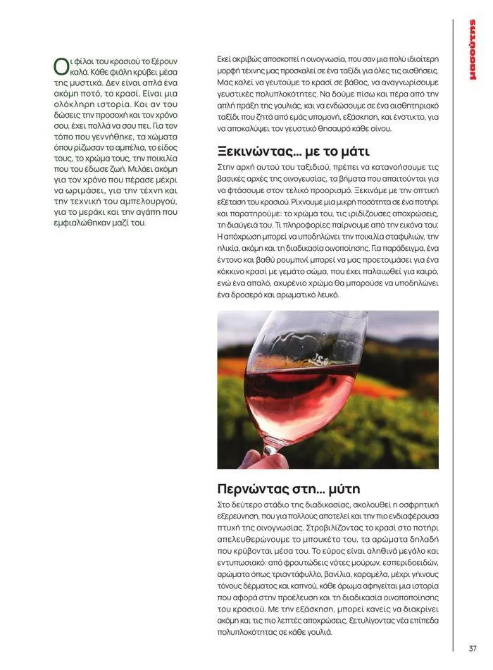 Φυλλάδιο προσφορών ΤΟ ΠΕΡΙΟΔΙΚΟ #50μας από 15 Απριλίου έως 31 Δεκεμβρίου 2024 - Σελίδα 42