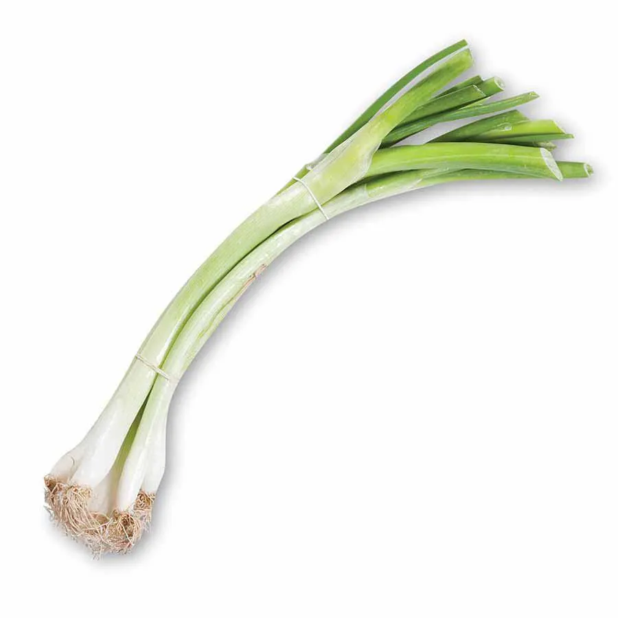 Κρεμμυδάκια Φρέσκα Ματσάκι Ελληνικά Α΄ Ποιότητα