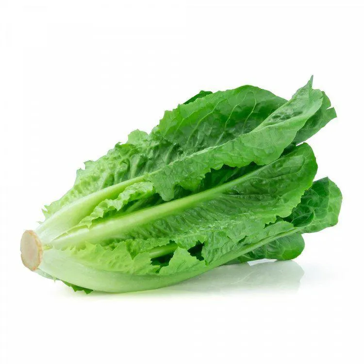 Μαρούλι Τιμή Τεμαχίου