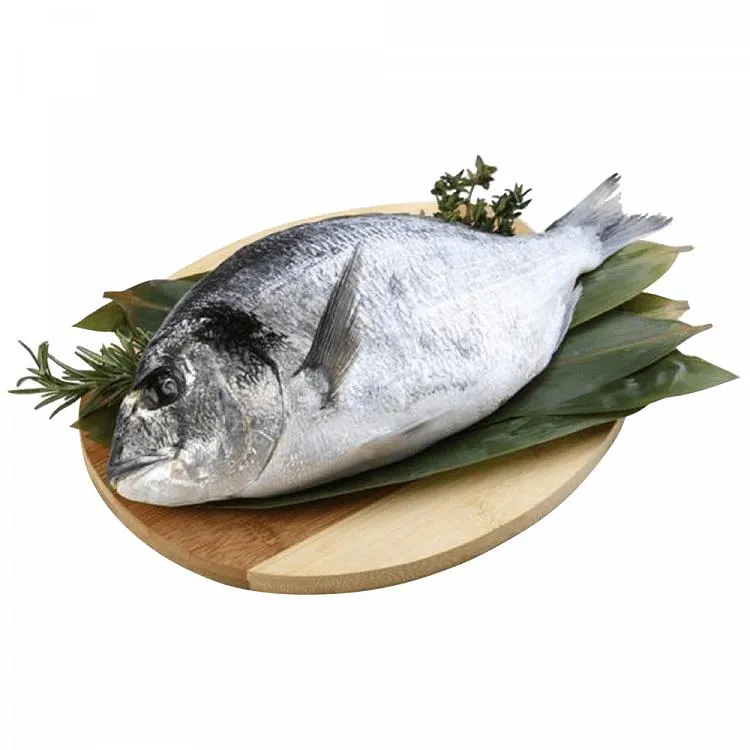 Τσιπούρα Sparus Auratus Υδατοκαλλιέργειας Ελλάδος 0,4-0,6Kg