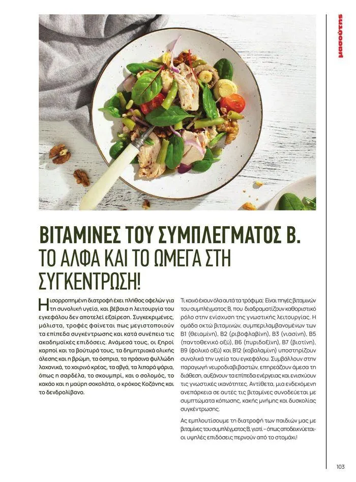 Φυλλάδιο προσφορών Νέες προσφορές για ανακάλυψη από 9 Σεπτεμβρίου έως 1 Μαΐου 2025 - Σελίδα 4