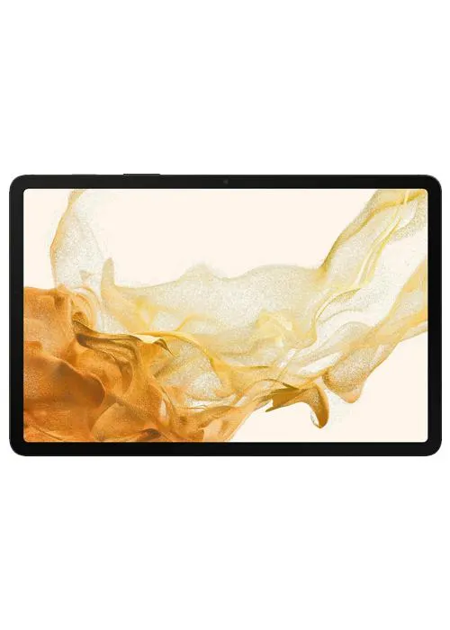 Samsung Galaxy Tab S8 WiFi 256GB Gray